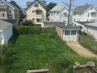 Lakewood backyard in need of landscaping